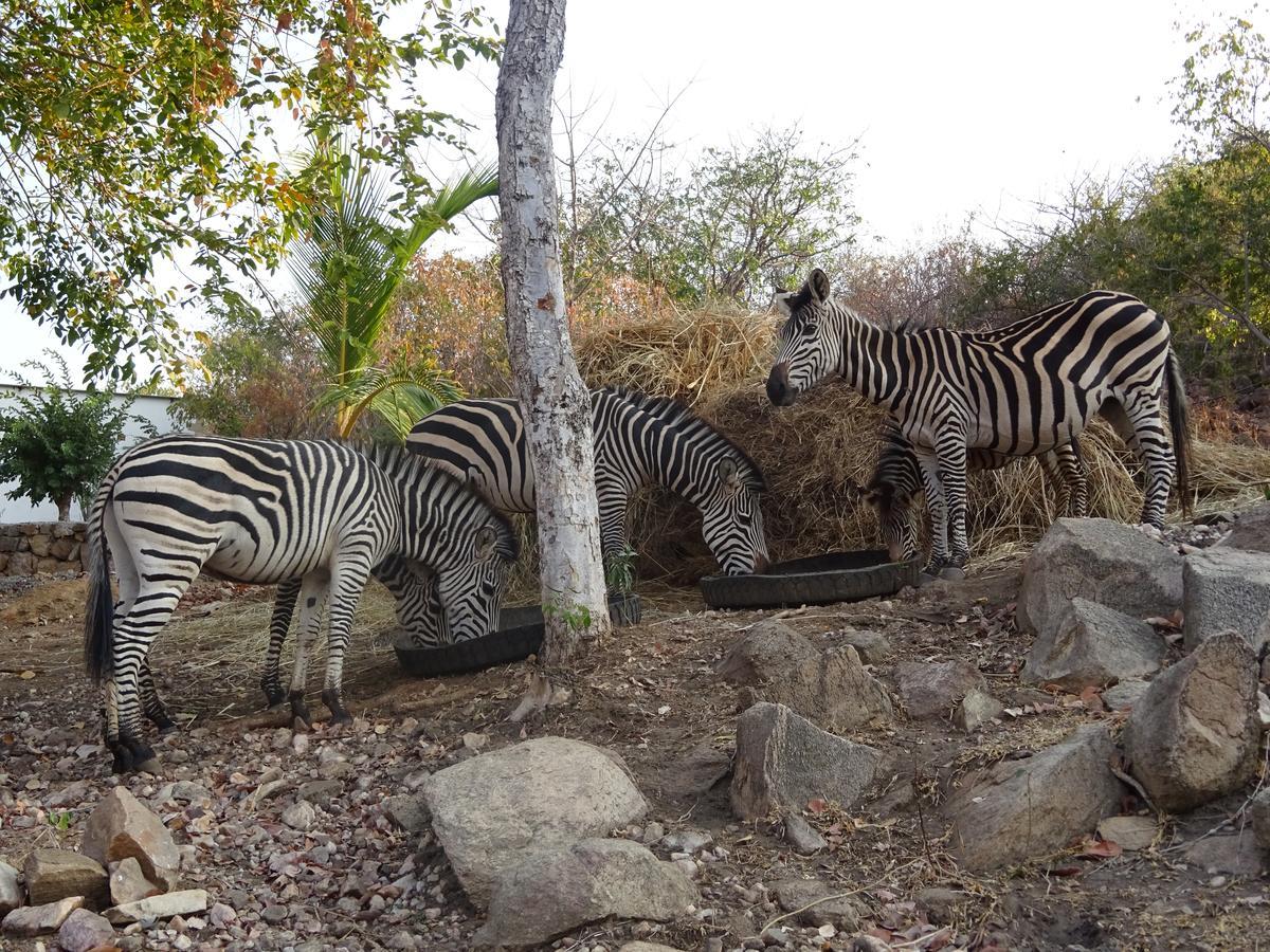 Lake Kariba Inns Сиавонга Екстериор снимка